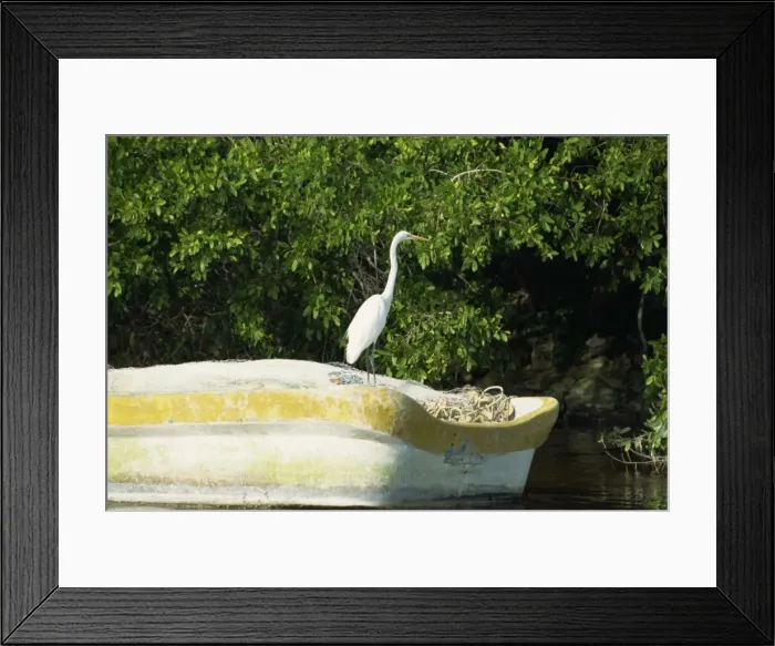 Framed Print : Yucatan, Mexico Framed Print : Yucatan, Mexico