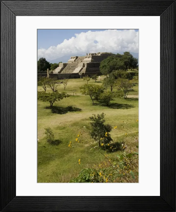 Framed Print : Building 5 Framed Print : Building 5