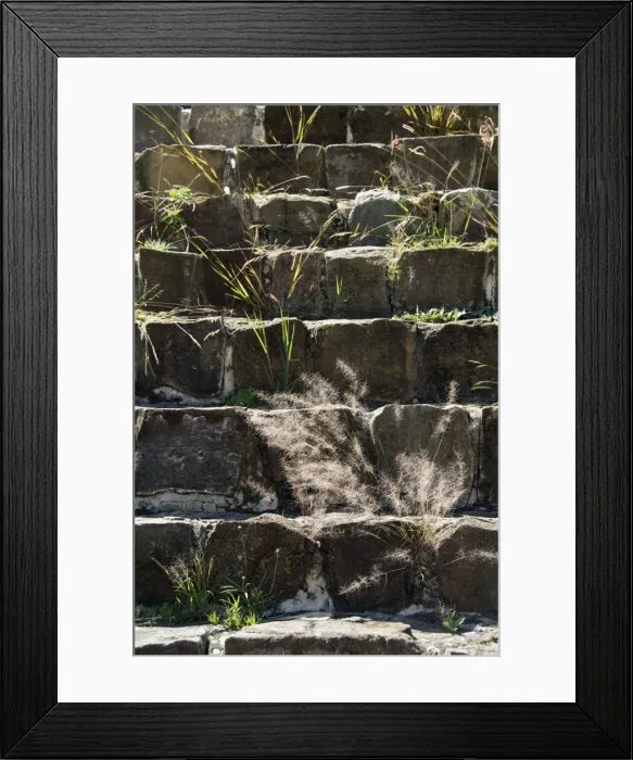 Framed Print : The ancient Zapotec city of Monte Alban Framed Print : The ancient Zapotec city of Monte Alban
