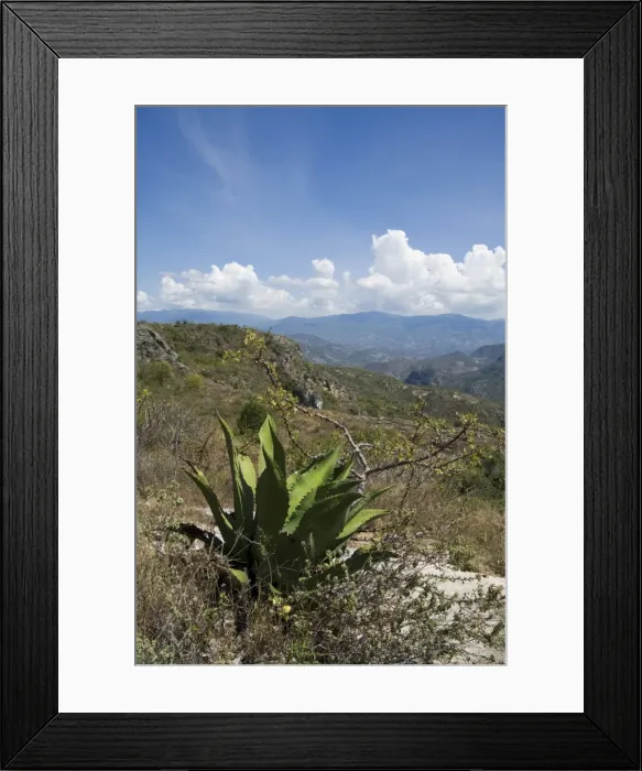 Framed Print : Landscape near Hierve el Agua Framed Print : Landscape near Hierve el Agua