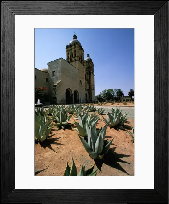 Framed Print : Oaxaca, Mexico Framed Print : Oaxaca, Mexico