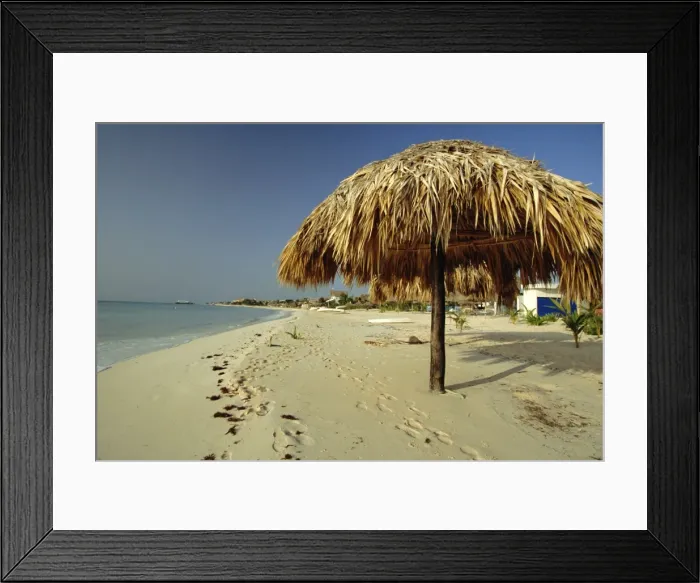 Framed Print : Playa del Carmen Framed Print : Playa del Carmen