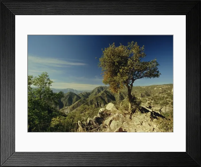 Framed Print : Copper Canyon in the Sierra Madre Occidental from hiking Framed Print : Copper Canyon in the Sierra Madre Occidental from hiking