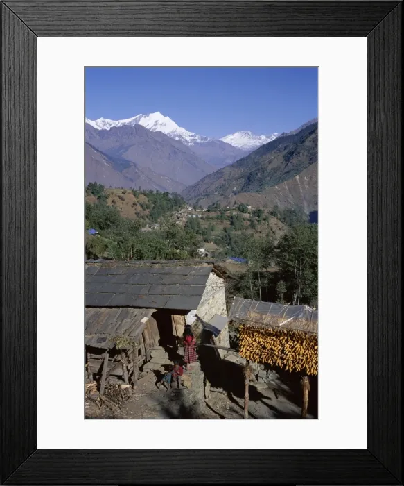 Framed Print : Corn hanging to dry outside village house Framed Print : Corn hanging to dry outside village house