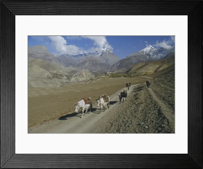 Framed Print : Thorung La Pass Framed Print : Thorung La Pass