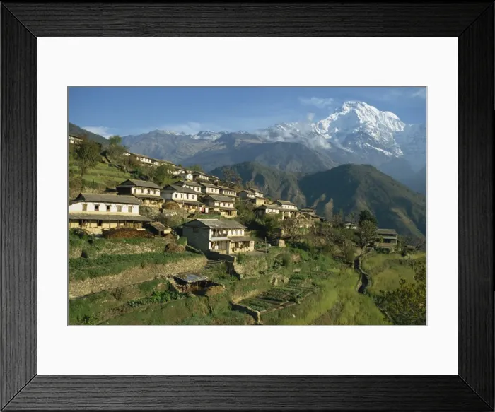 Framed Print : Houses and terraced fields at Gurung village Framed Print : Houses and terraced fields at Gurung village
