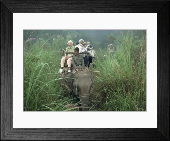 Framed Print : Tourists on elephant back in long grass Framed Print : Tourists on elephant back in long grass