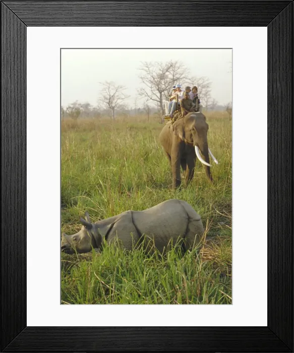 Framed Print : Tourists on elephant back sighting rhino Framed Print : Tourists on elephant back sighting rhino