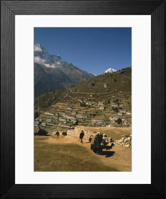 Framed Print : Yak used for transporting goods leaving the village Framed Print : Yak used for transporting goods leaving the village