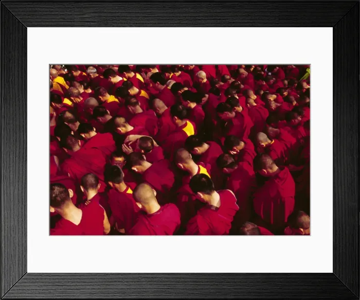 Framed Print : Buddhist monks praying during the celebration of Losar