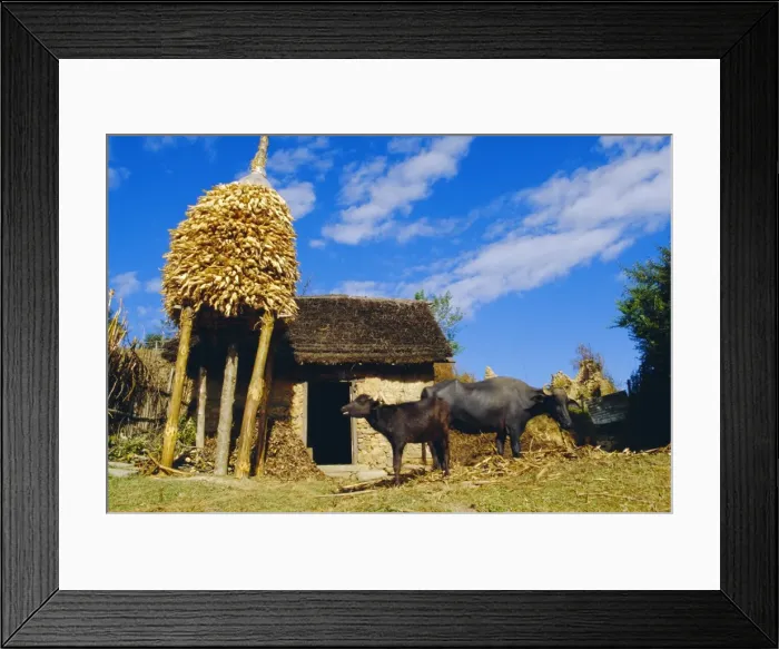 Framed Print : Nepalese countryside house Framed Print : Nepalese countryside house