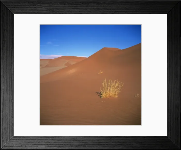 Framed Print : Sossusvlei Sand Dunes in Naukluft Park
