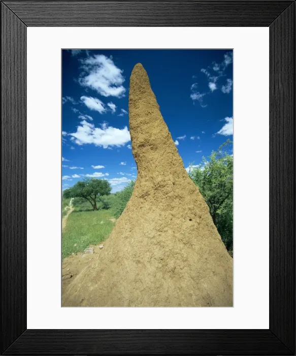 Framed Print : Termite mound near Okahandja Framed Print : Termite mound near Okahandja