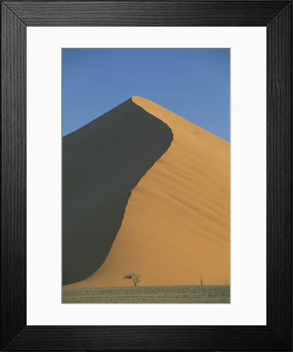 Framed Print : Sand dune and tree near Sesriem