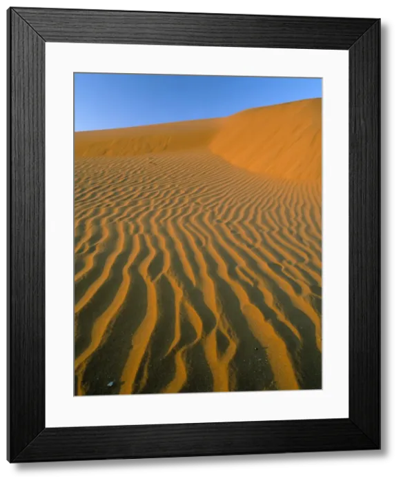 Framed Print : Sand dunes Framed Print : Sand dunes