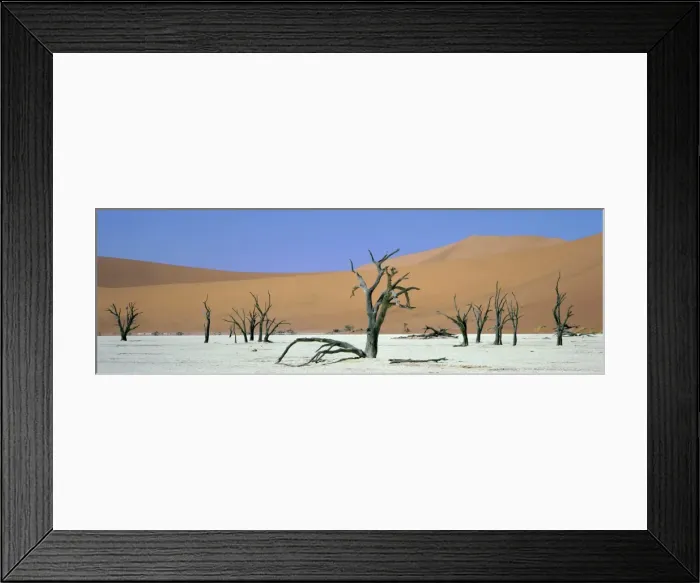 Framed Print : Panoramic view of sand dunes and dead trees Framed Print : Panoramic view of sand dunes and dead trees