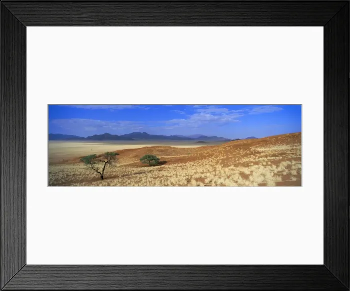 Framed Print : Panoramic view of trees and mountains in desert landscape Framed Print : Panoramic view of trees and mountains in desert landscape