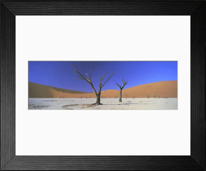 Framed Print : Panoramic view of dead trees and orange sand dunes Framed Print : Panoramic view of dead trees and orange sand dunes