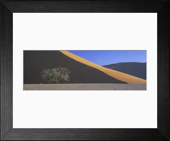 Framed Print : Dune and tree Framed Print : Dune and tree