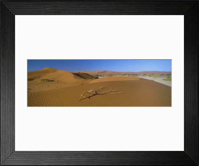 Framed Print : Panoramic view over dunes Framed Print : Panoramic view over dunes