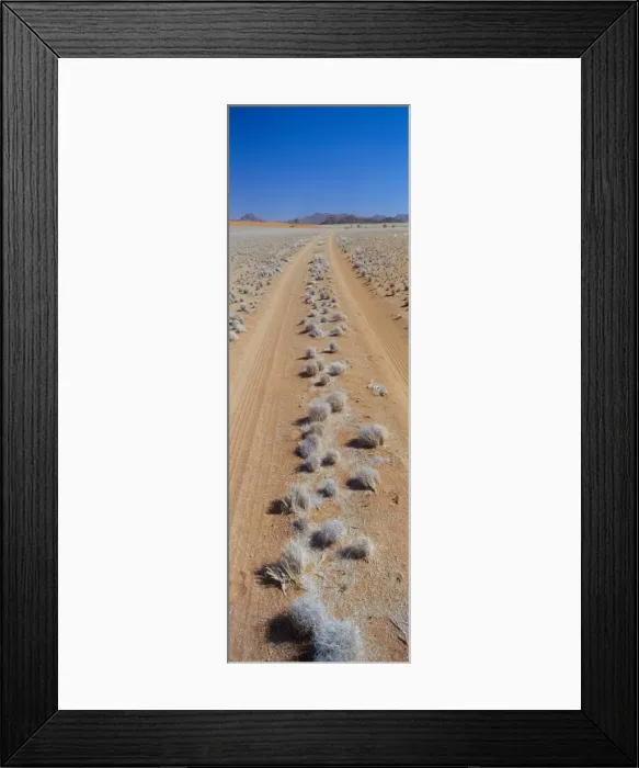 Framed Print : Track through sand with scrub Framed Print : Track through sand with scrub