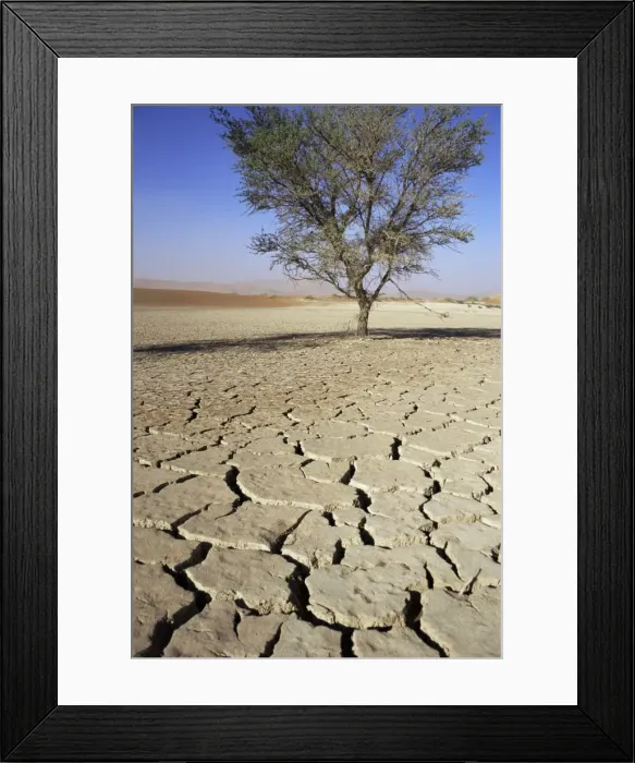Framed Print : Dried and cracked mud in Sossusvlei pan Framed Print : Dried and cracked mud in Sossusvlei pan