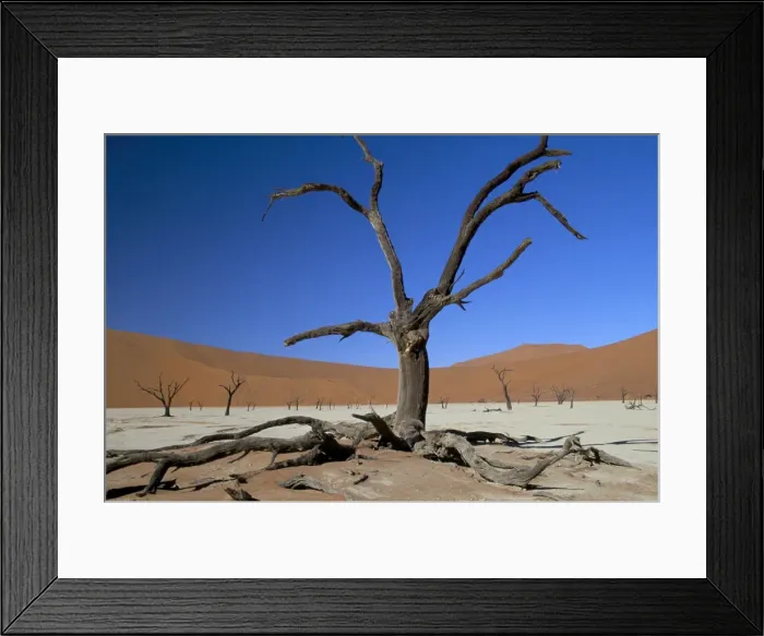Framed Print : Dead Vlei, Sossusvlei dune field Framed Print : Dead Vlei, Sossusvlei dune field