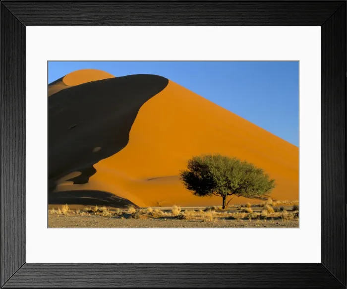 Framed Print : Sand dune, Sossusvlei dune field Framed Print : Sand dune, Sossusvlei dune field