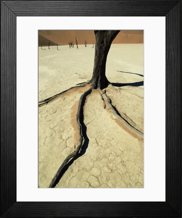 Framed Print : Dead Vlei, Sossuvlei dune field Framed Print : Dead Vlei, Sossuvlei dune field