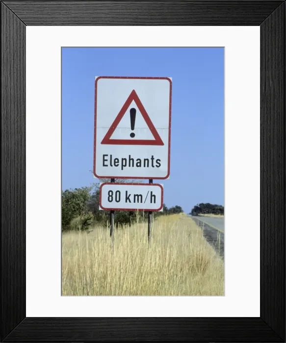 Framed Print : Sign, Elephants crossing the road Framed Print : Sign, Elephants crossing the road