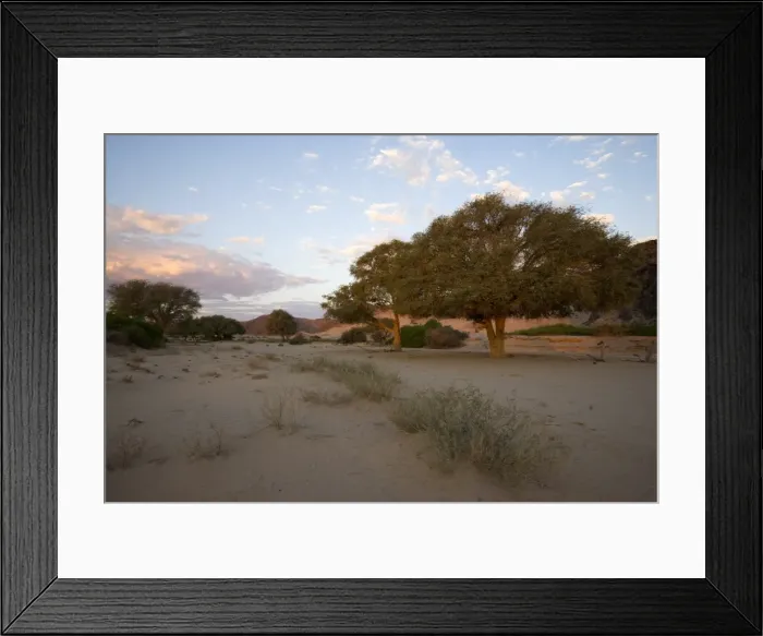 Framed Print : Hoanib, dry river bed Framed Print : Hoanib, dry river bed