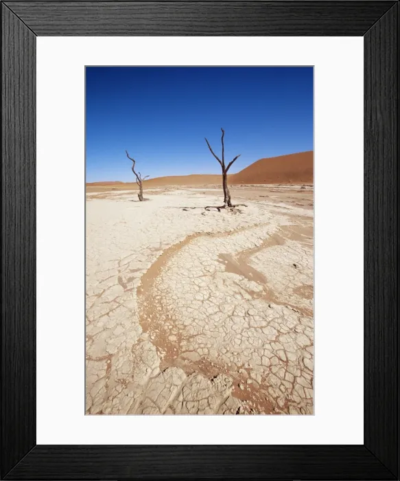 Framed Print : Deadvlei, Namib Naukluft Park Framed Print : Deadvlei, Namib Naukluft Park
