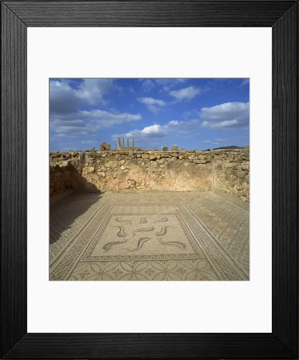 Framed Print : Mosaics from the 3rd century Roman city of Volubilis Framed Print : Mosaics from the 3rd century Roman city of Volubilis