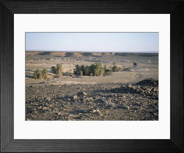 Framed Print : Camp in palm trees at Mihad Salah Framed Print : Camp in palm trees at Mihad Salah