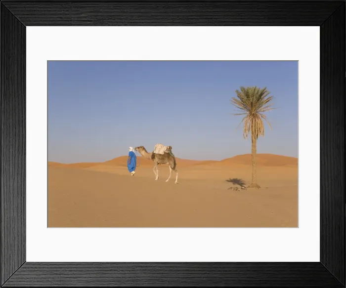 Framed Print : Camel, Erg Chebbi Framed Print : Camel, Erg Chebbi