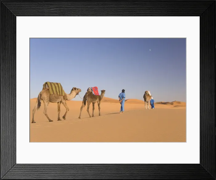 Framed Print : Camels, Erg Chebbi Framed Print : Camels, Erg Chebbi