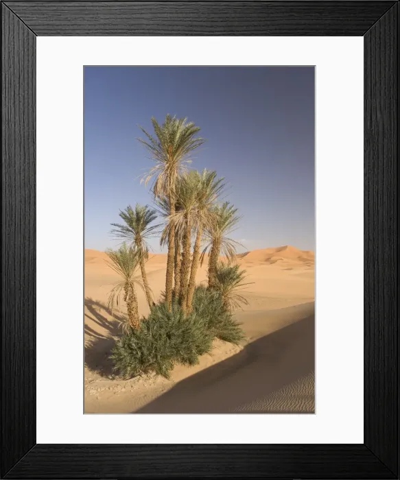 Framed Print : Erg Chebbi Framed Print : Erg Chebbi