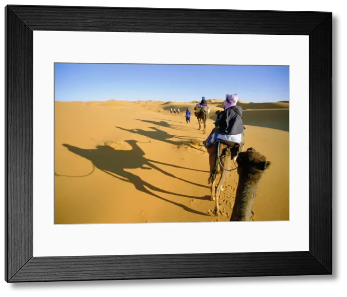 Framed Print : Camel trek in Sahara dunes near Merzouga Framed Print : Camel trek in Sahara dunes near Merzouga