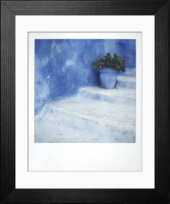 Framed Print : Polaroid of geranium in blue painted plantpot on steps Framed Print : Polaroid of geranium in blue painted plantpot on steps