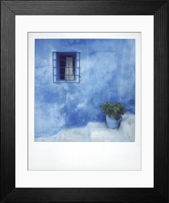 Framed Print : Polaroid of geranium in blue painted plantpot against bluewashed wall
