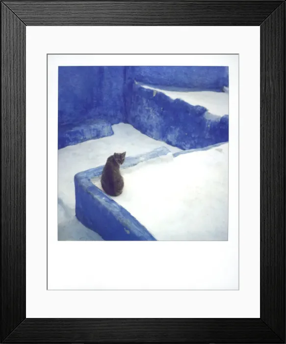 Framed Print : Polaroid of a cat sitting on whitewashed path Framed Print : Polaroid of a cat sitting on whitewashed path