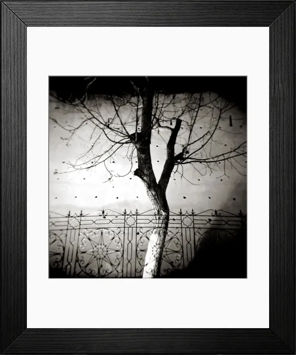 Framed Print : Image taken with a Holga medium format 120 film toy Framed Print : Image taken with a Holga medium format 120 film toy