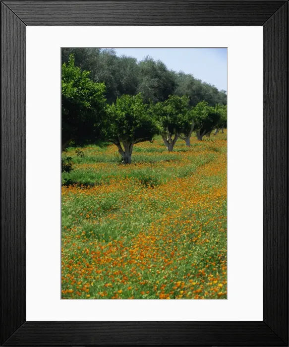 Framed Print : Landscape on the Fes to Marrakesh Route Framed Print : Landscape on the Fes to Marrakesh Route
