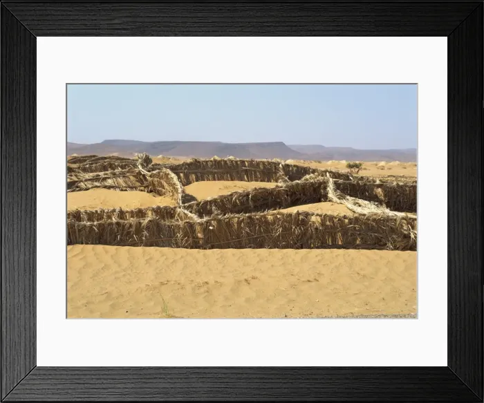 Framed Print : Barriers erected to prevent sand drifting onto road Framed Print : Barriers erected to prevent sand drifting onto road