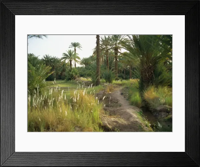 Framed Print : Zagora, Morocco Framed Print : Zagora, Morocco