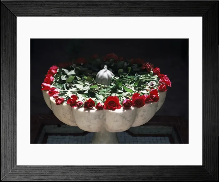 Framed Print : Roses, Villa des Oranjes Framed Print : Roses, Villa des Oranjes