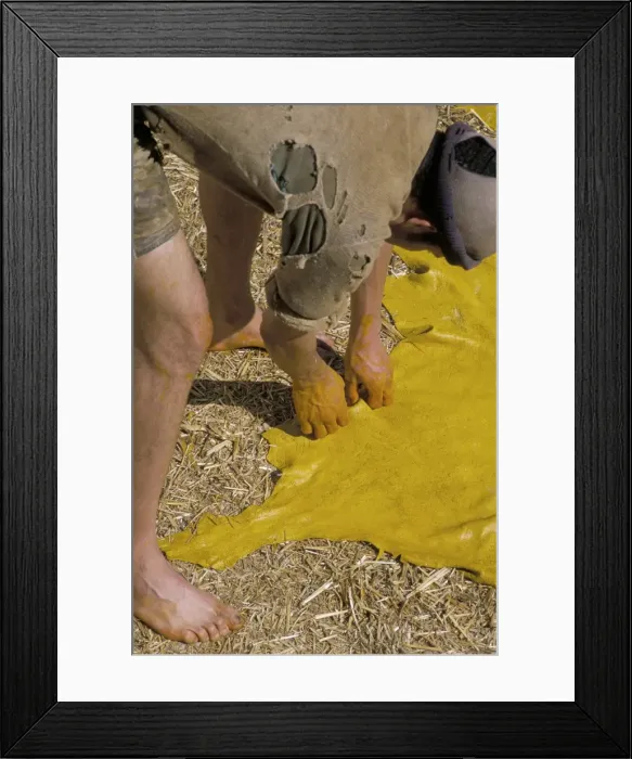 Framed Print : Man stretching animal skin Framed Print : Man stretching animal skin