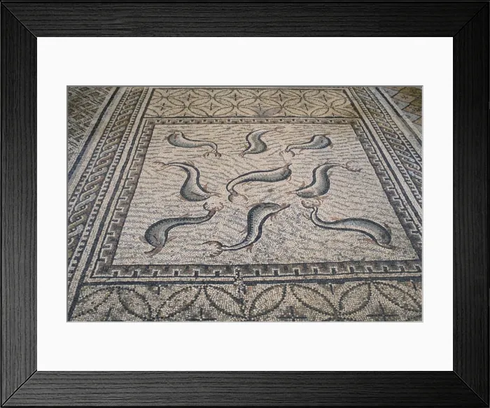 Framed Print : Mosaic floor Framed Print : Mosaic floor