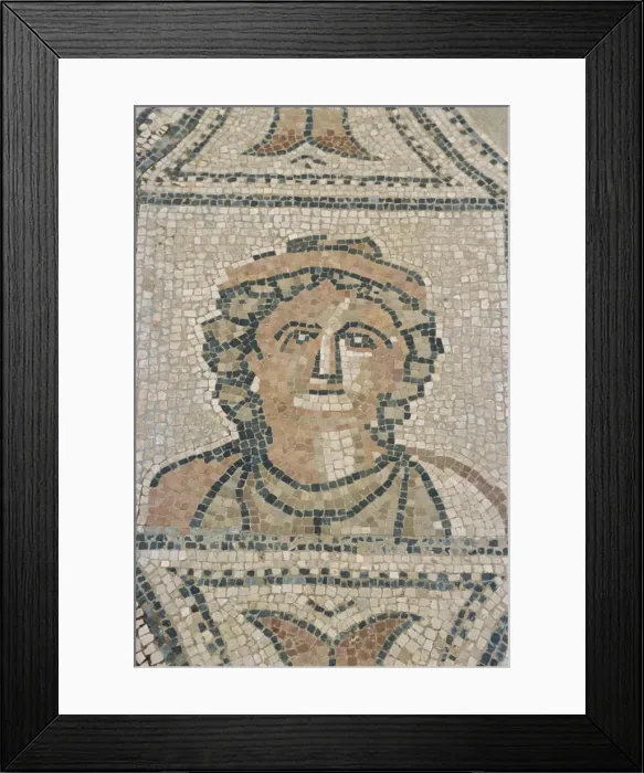 Framed Print : Mosaic, Volubilis Framed Print : Mosaic, Volubilis