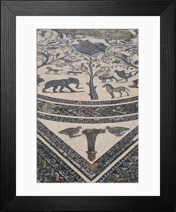 Framed Print : Roman floor mosaic Framed Print : Roman floor mosaic